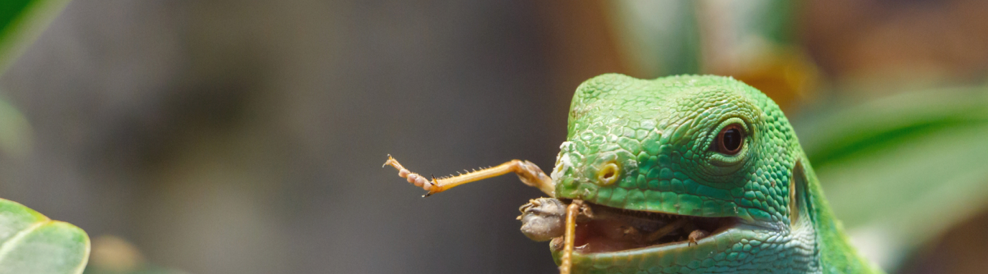 Hands Typing On Keyboard